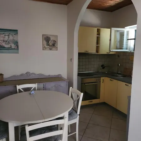 Niko * زابوريتش