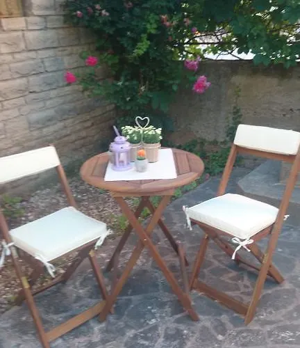 Niko ザボリッチ